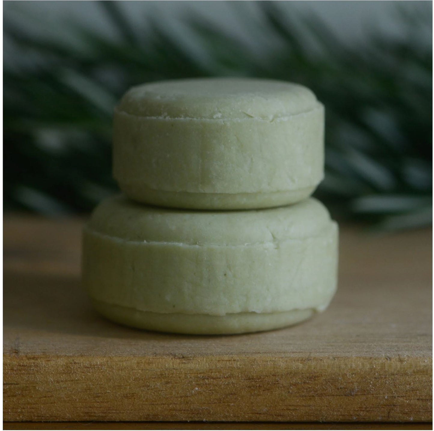 Tea Tree shampoo bar