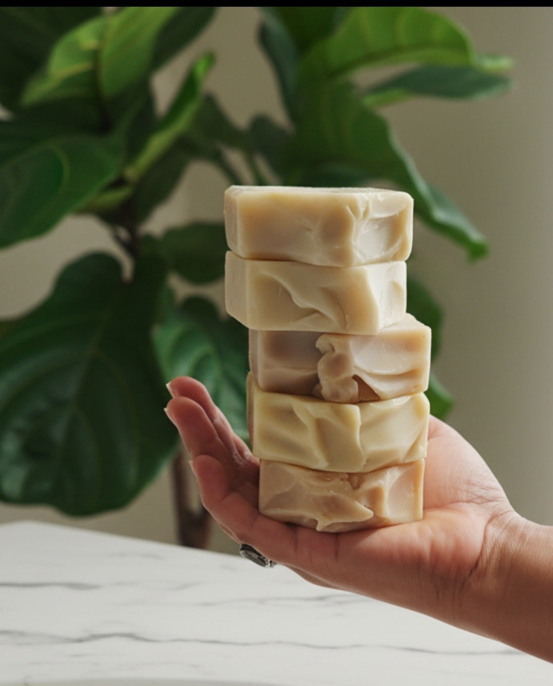 5-Bar Soap Bundle